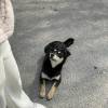comment-small-img