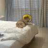 comment-small-img