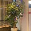 comment-small-img