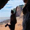 comment-small-img