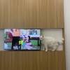 comment-small-img