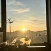 comment-small-img