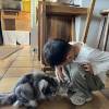 comment-small-img