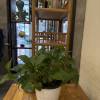 comment-small-img