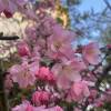 comment-small-img