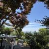 comment-small-img