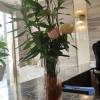comment-small-img