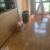 comment-small-img