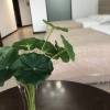 comment-small-img