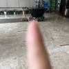 comment-small-img