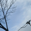 comment-small-img