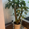 comment-small-img
