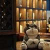 comment-small-img