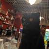 comment-small-img