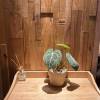 comment-small-img