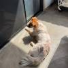 comment-small-img