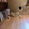 comment-small-img