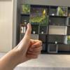 comment-small-img