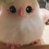 comment-small-img