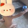 comment-small-img