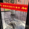 comment-small-img