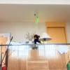 comment-small-img
