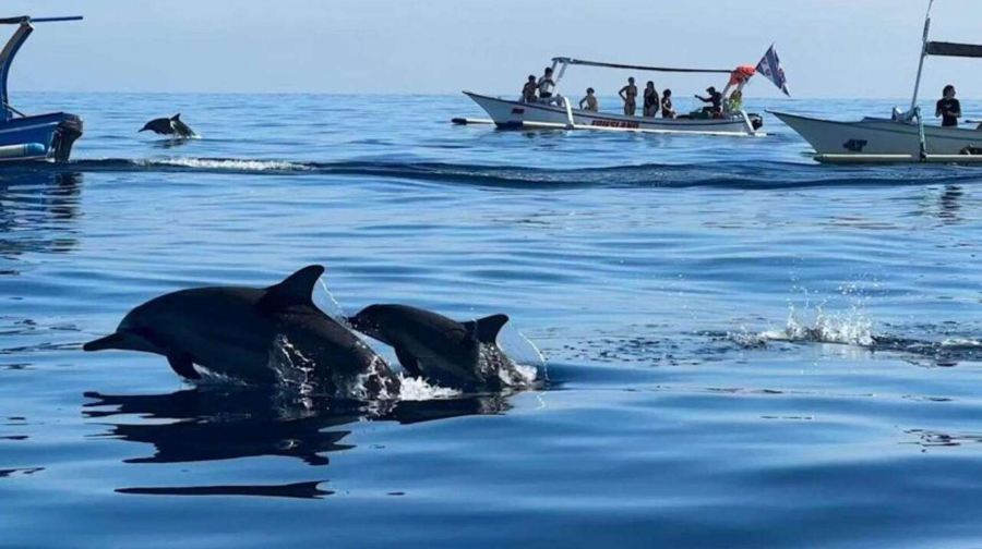峇里島羅威納追海豚一日遊【日出/早餐/浮潛/火山/滑翔傘】