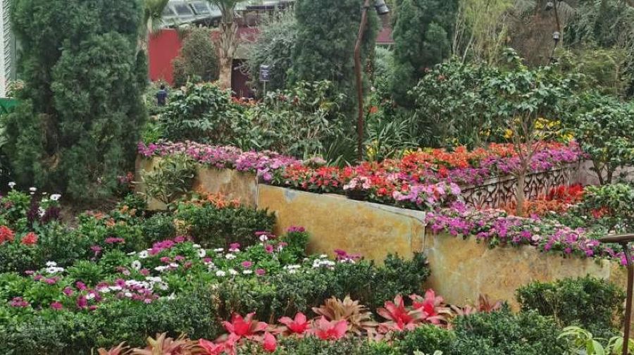 新加坡濱海灣花園與海鮮午餐/晚餐美食之旅56412