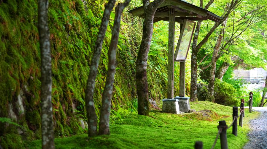 可選保津川漂流/嵐山小火車##嵐山+三千院+貴船神社一日遊