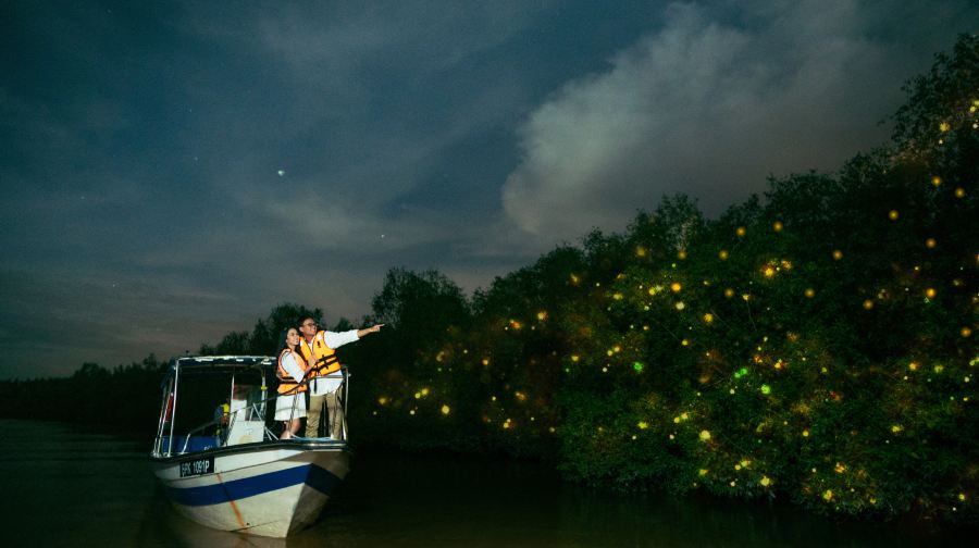 螢火蟲與藍眼淚夜遊，搭配海鮮美食