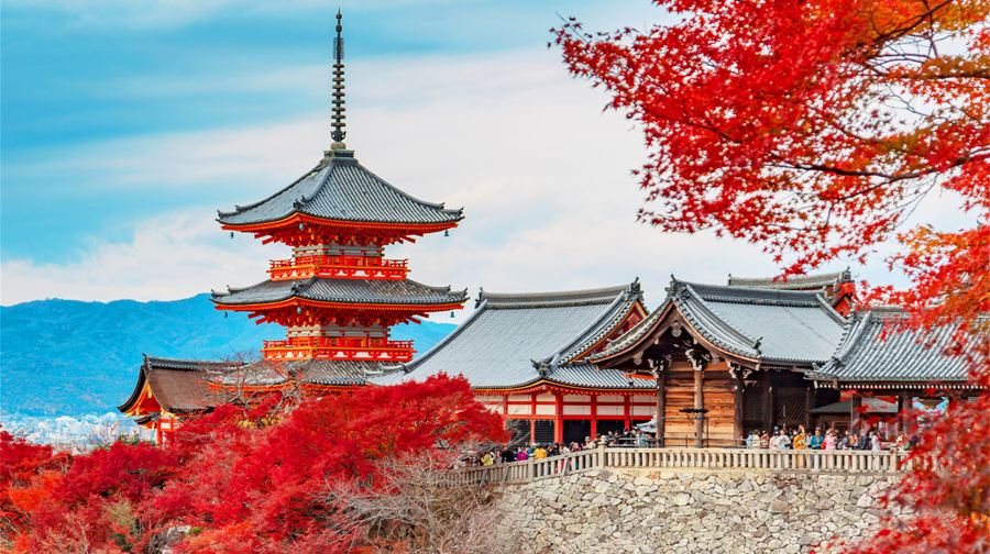 日本京都清水寺+奈良全景一日遊，餵小鹿，可選9人小團飯店接駁
