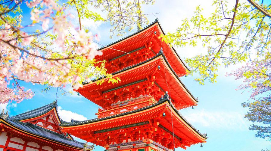 日本京都祇園+奈良一日遊，賞櫻花餵小鹿，可選9人小團飯店接駁