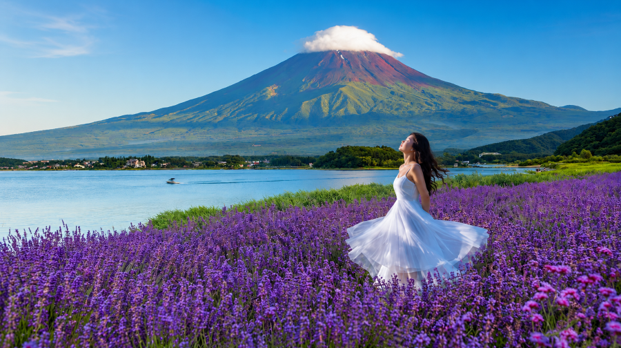 一人成團·富士山六大景點一日遊·河口湖·山中湖·日川時計店·白鳥之湖·忍野八海·富士山羅森便利店·新倉山淺間公園,可選飯店接送套餐·東京出發