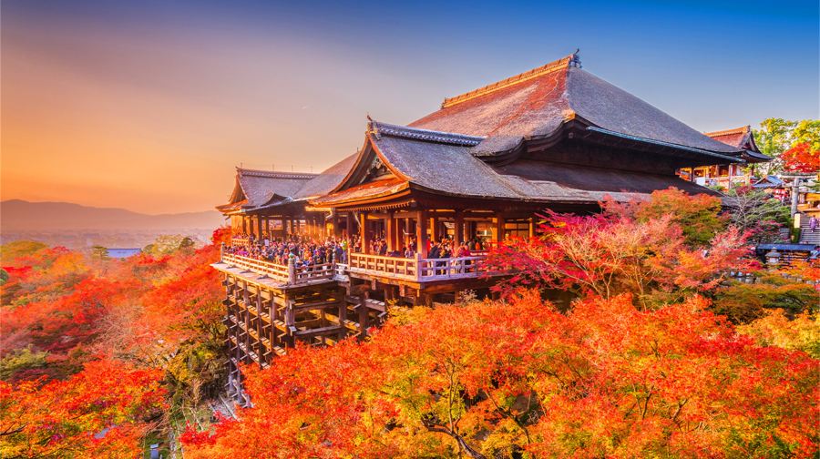 日本奈良公園+京都清水寺+伏見稻荷大社一日遊，餵萌鹿，賞楓葉