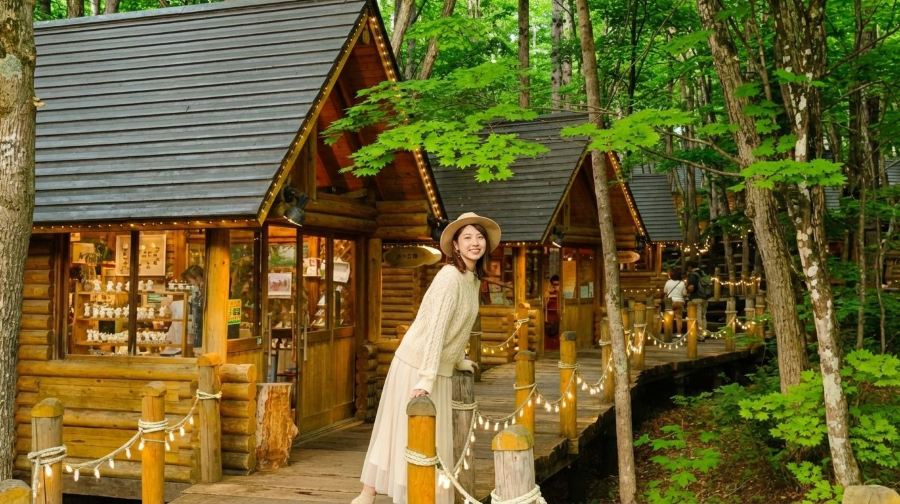 北海道精靈露台+旭山動物園+白鬚瀑布+白金青池一日遊