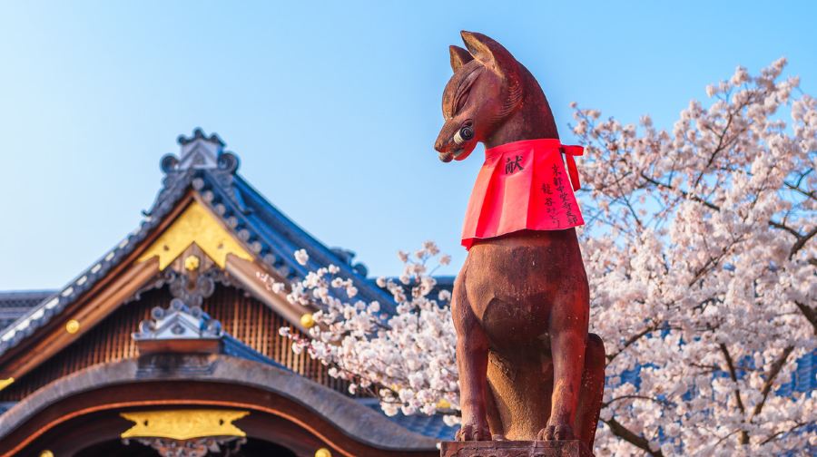 京都嵐山+奈良公園餵鹿+伏見稻荷大社一日遊，櫻花季