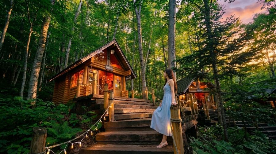 北海道+旭山動物園+森林精靈陽台+青池+白鬚瀑布一日遊