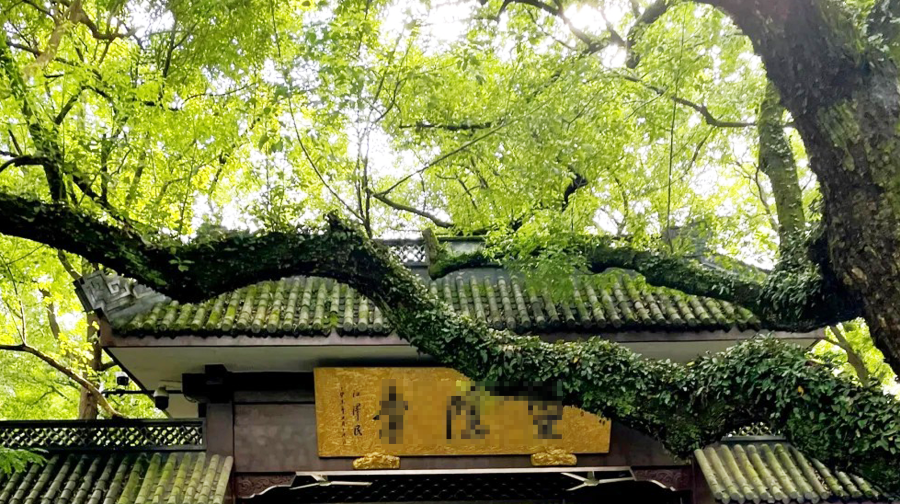【私人導覽導覽】靈隱寺120分鐘深度導覽-走進千年古剎，尋訪靈隱禪宗