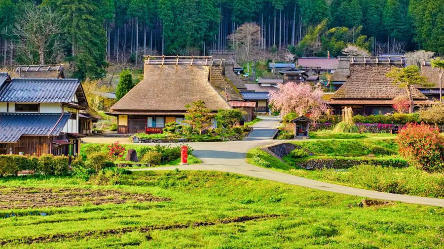 京都天橋立 + 伊根舟屋 + 美山町北村一日遊，送蝦條