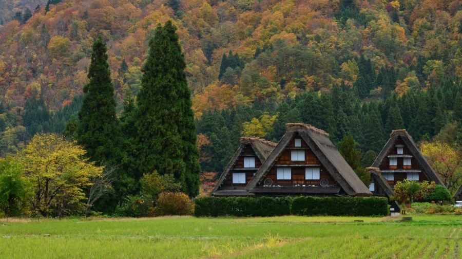 【濃飛巴士】高山 來回 白川鄉 高速巴士車票
