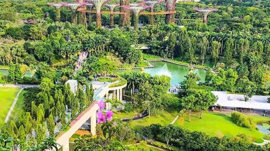 新加坡濱海灣花園與海鮮午餐/晚餐美食之旅56412