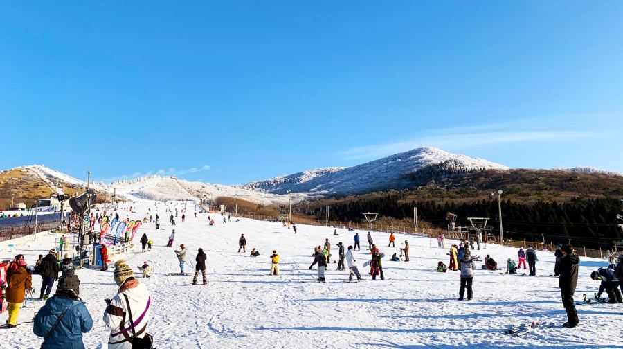 九州冬季：九重森林公園滑雪場一日遊 (福岡出發，含基礎課程, 中英韓文導遊，新手歡迎)