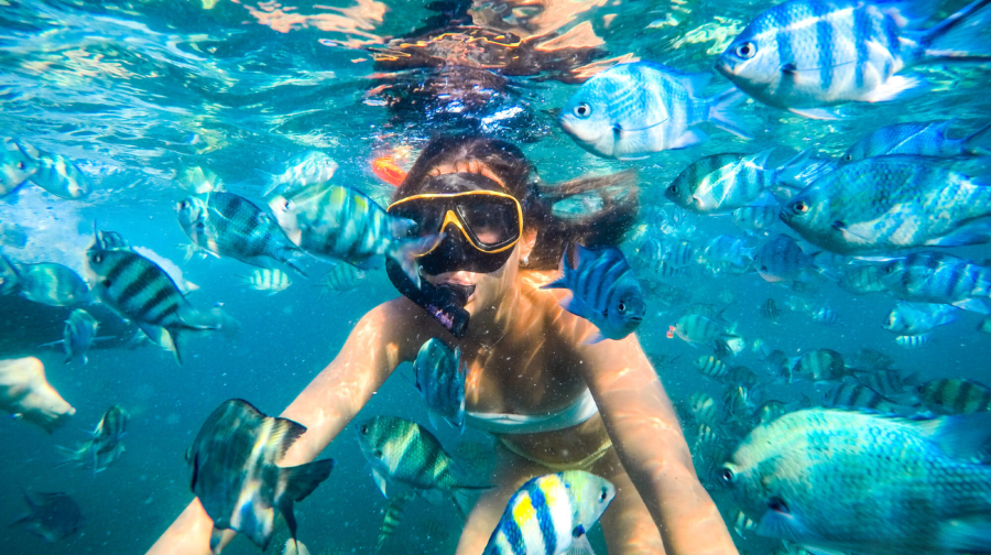 沙美島：5 或 6 島浮潛之旅（含午餐）