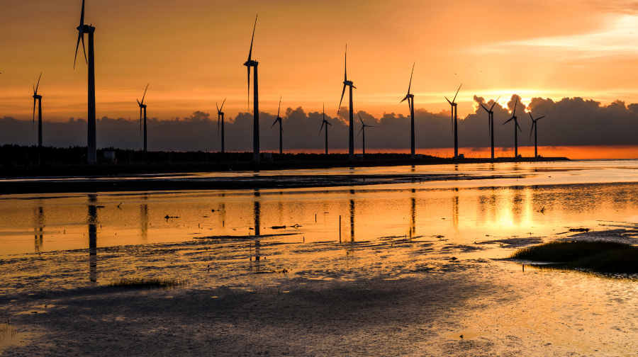 台中高美濕地+中社花市+宮原眼科【送珍珠奶茶｜台北出發】