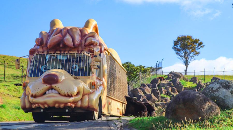 日本大分九州自然動物園一日遊：動漫童話小鎮&動物互動之旅