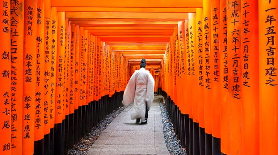 【京都&奈良&宇治一日遊】奈良公園+伏見稻荷+平等院+抹茶街
