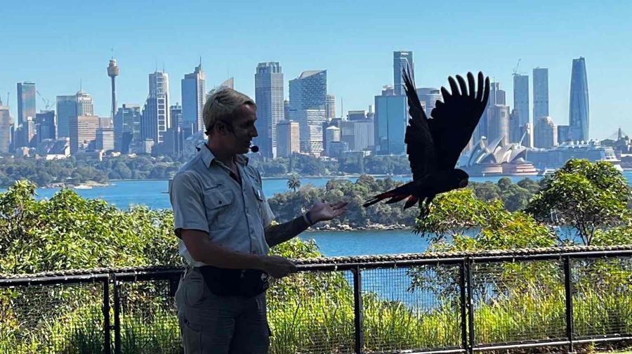 雪梨野生動物園門票兒童