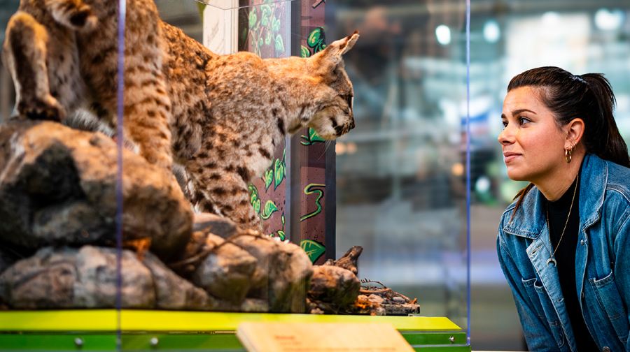 加州科學院日場票青少年