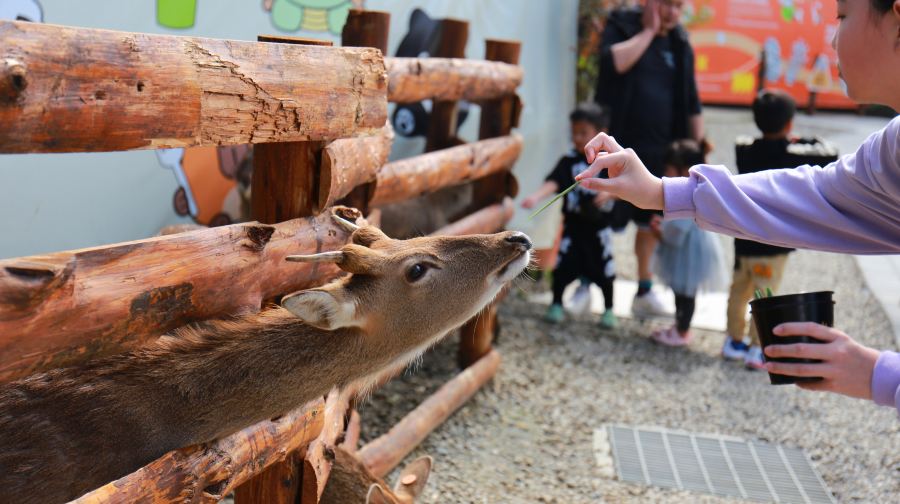 鹿芝谷入園券(附下午茶套餐)大小同價