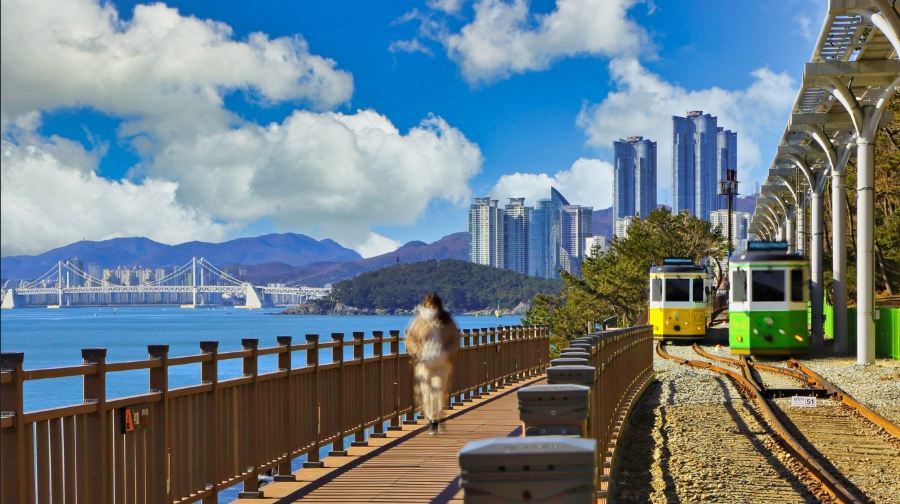 海雲台藍線公園海岸列車票(松亭出發)大小同價